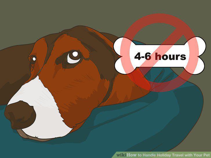 Step 11