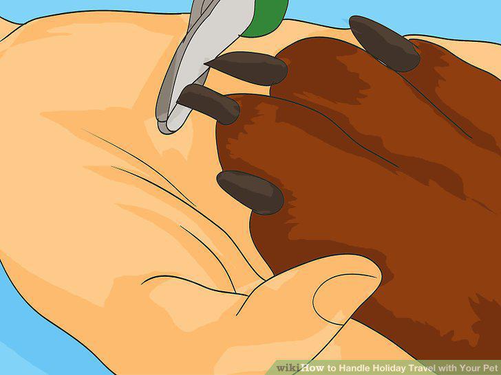 Step 12
