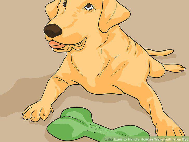 Step 16
