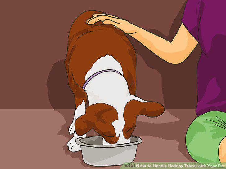 Step 17