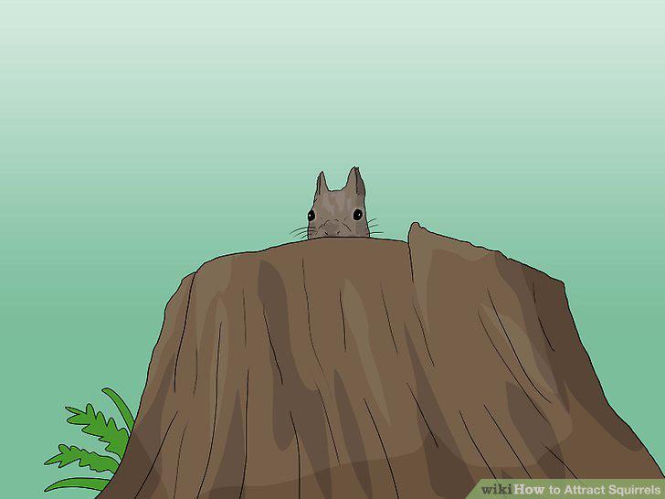 Step 11