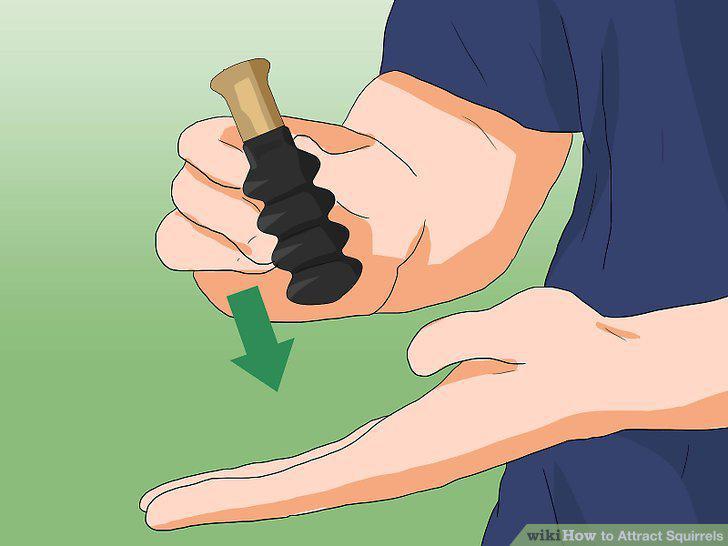 Step 12