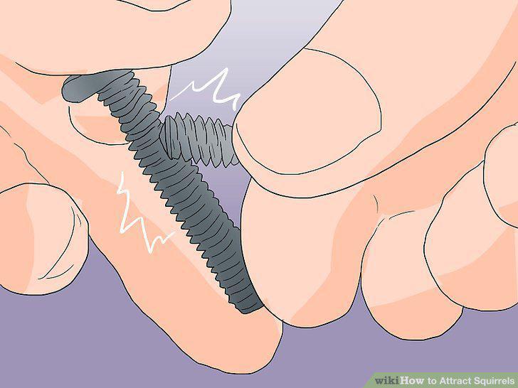 Step 13