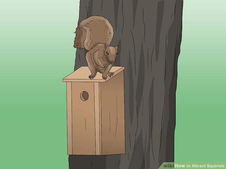 Step 8