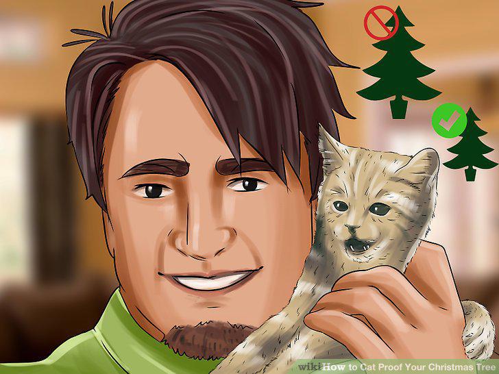 Step 11