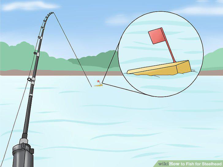 Step 15