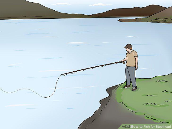 Step 16