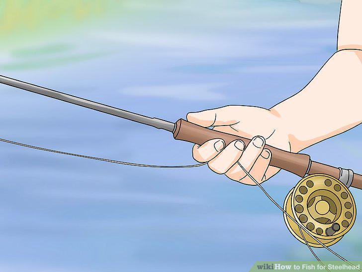 Step 8