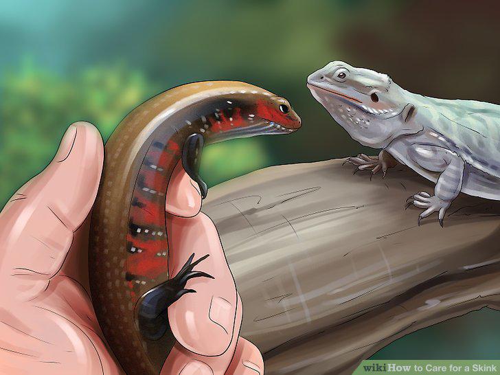 Step 11