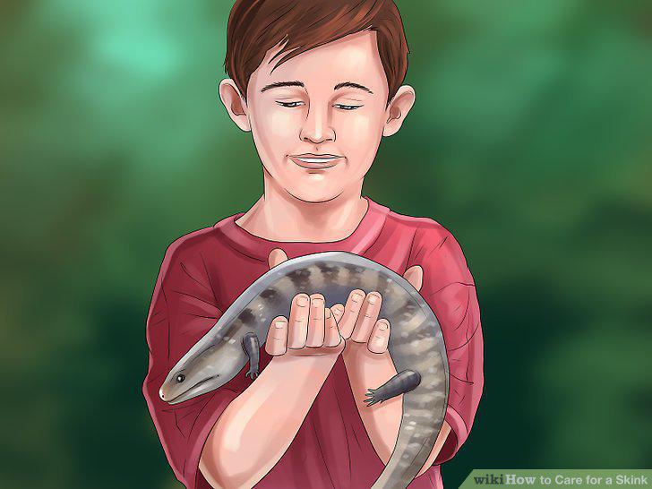 Step 13
