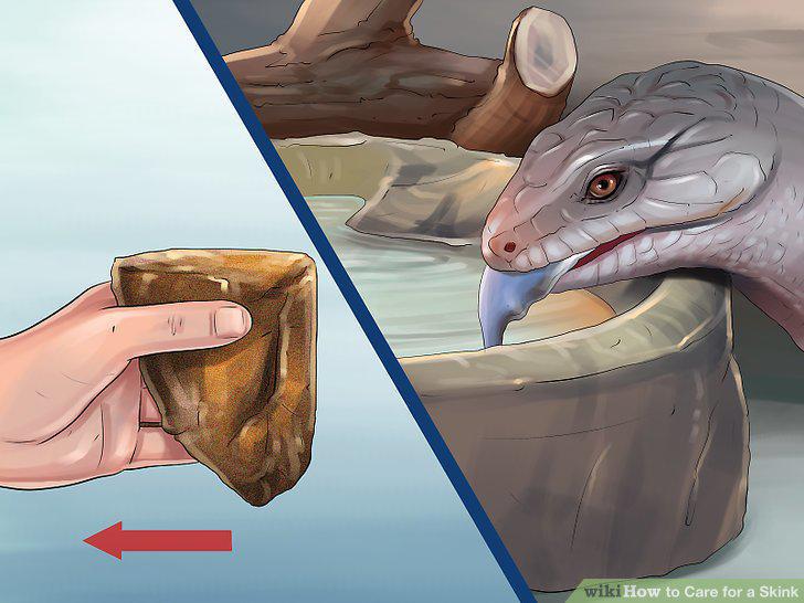 Step 9