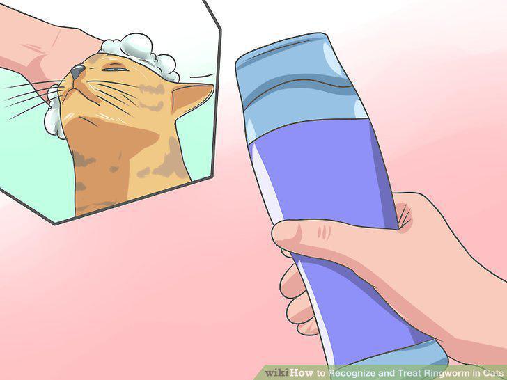 Step 11