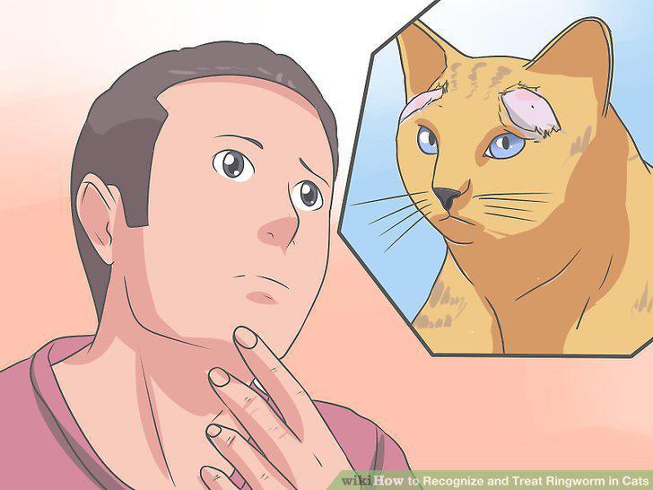 Step 12