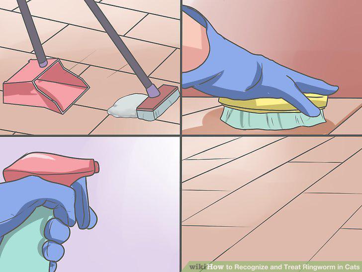 Step 8