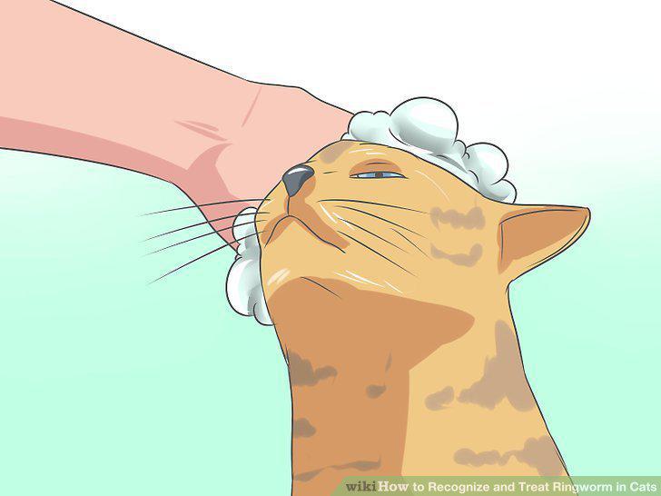 Step 10
