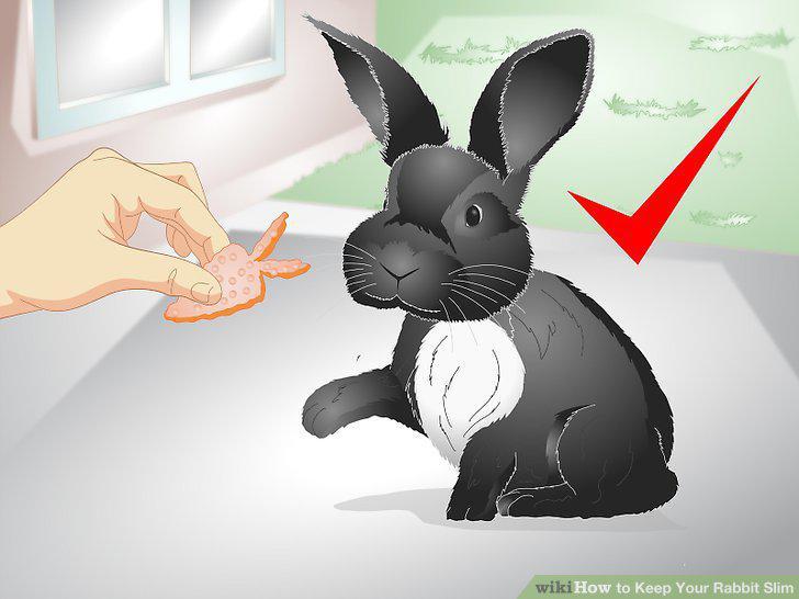 Step 11