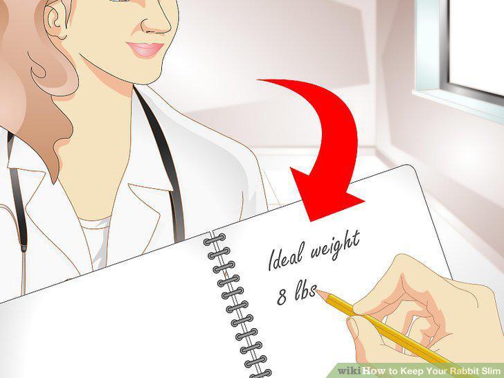 Step 12