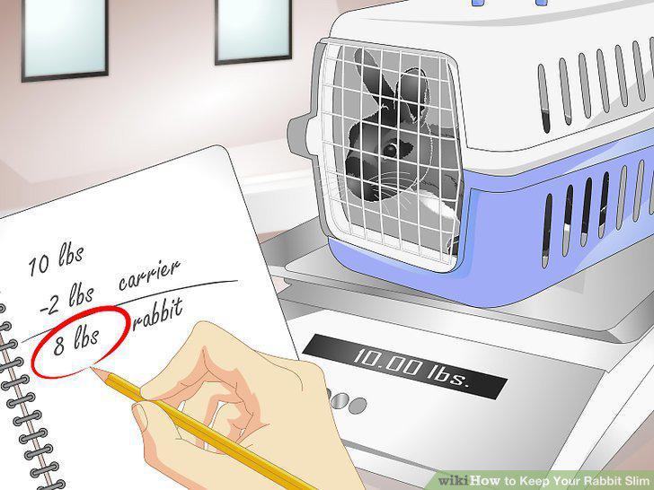 Step 13