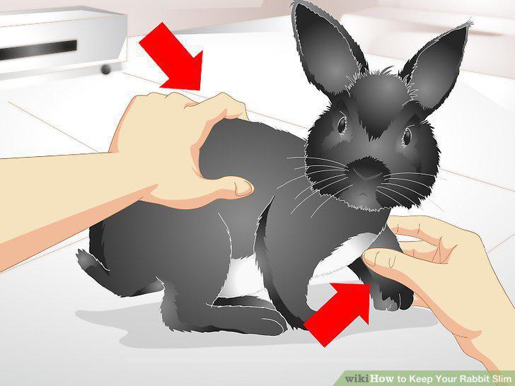 Step 14