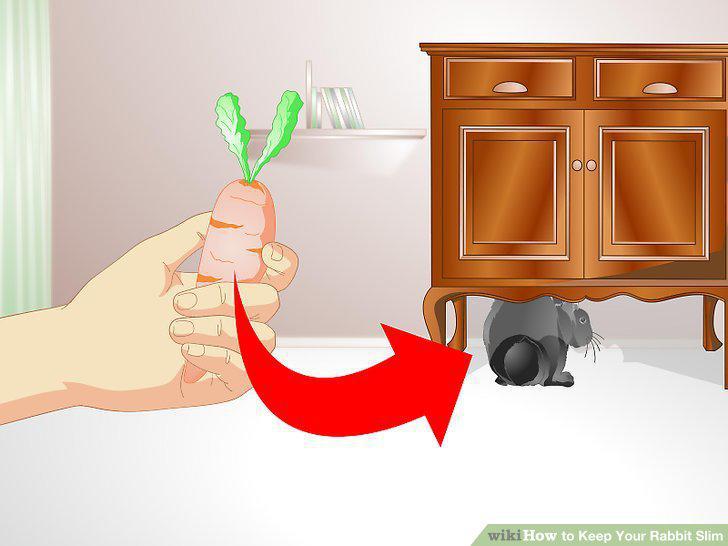 Step 4