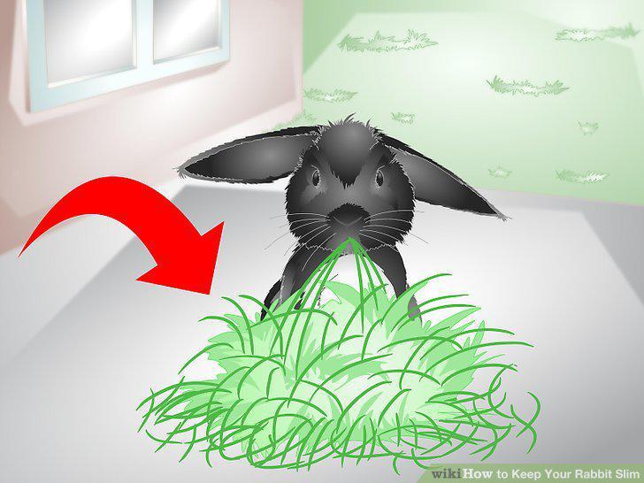 Step 8