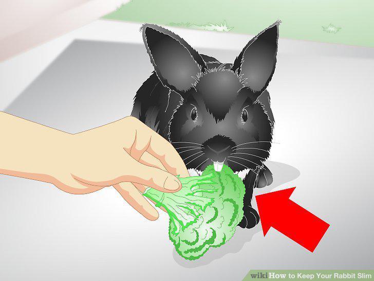 Step 9