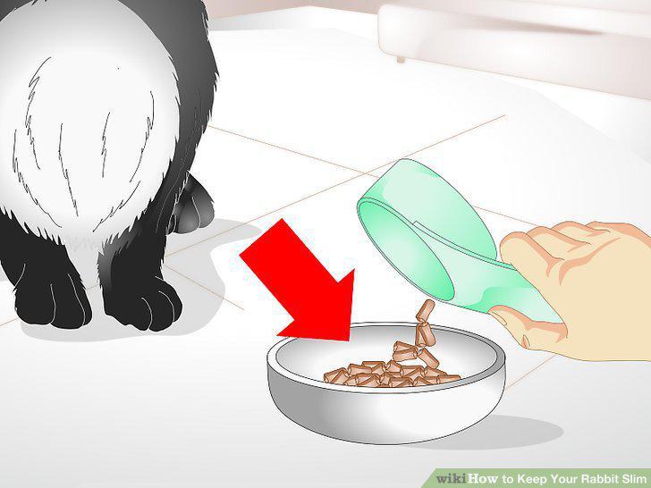 Step 10