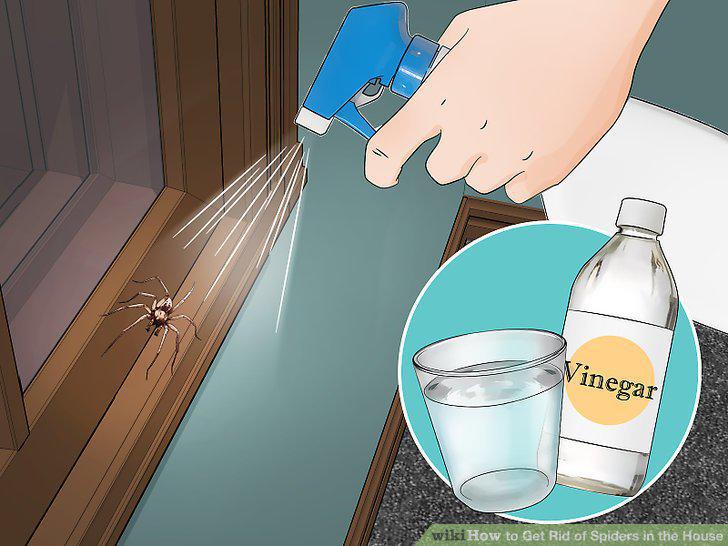 Step 11