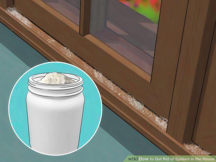 Step 10