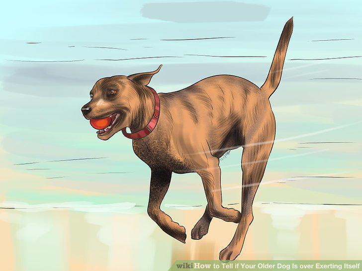 Step 6