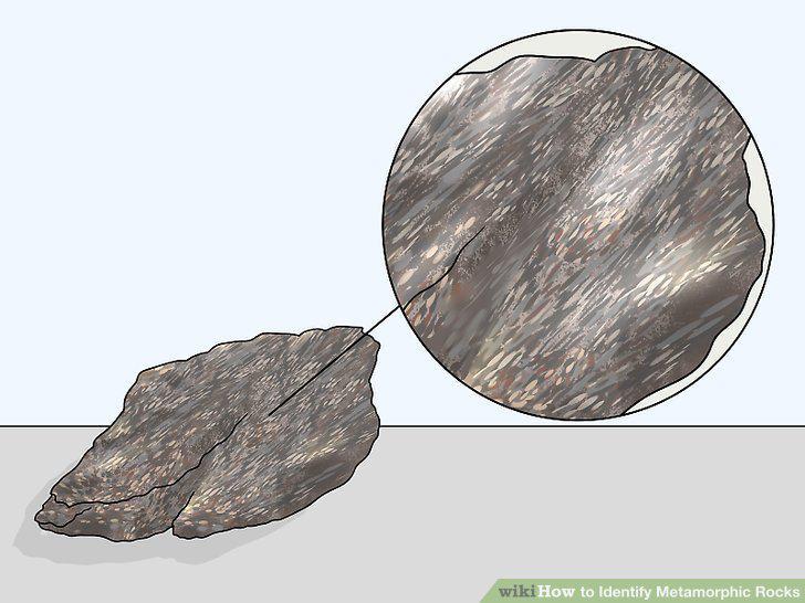 Step 5