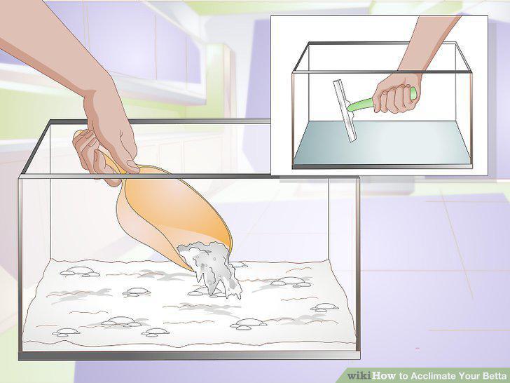Step 2
