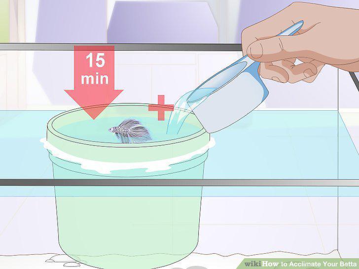 Step 11