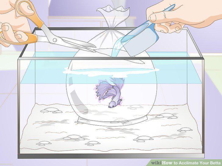 Step 6