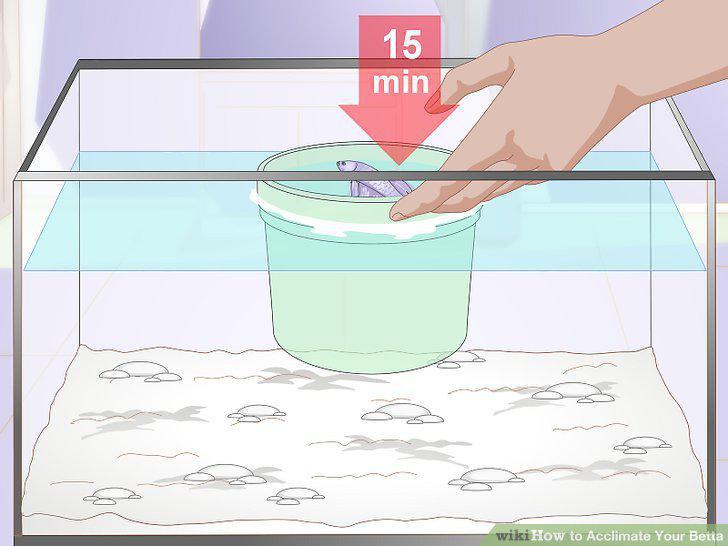 Step 9
