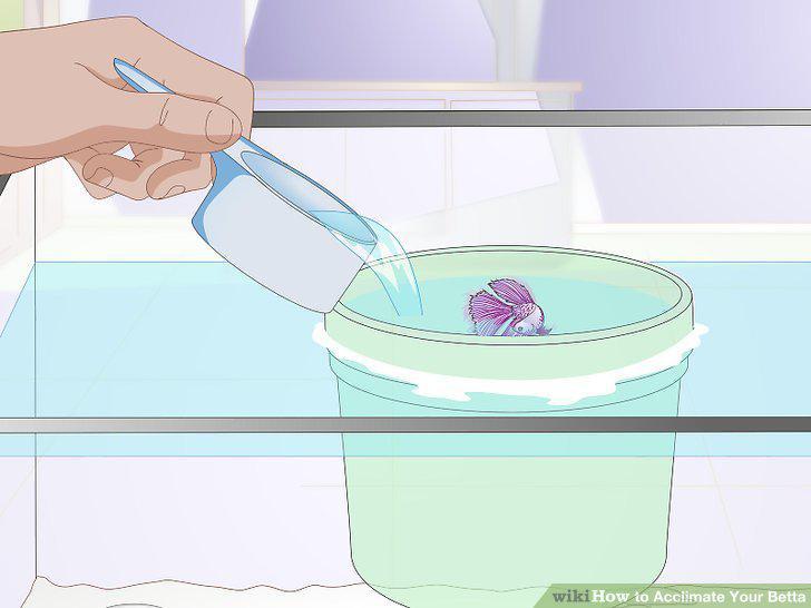 Step 10