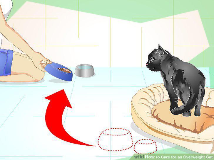 Step 11