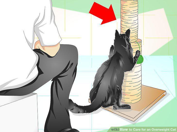 Step 13