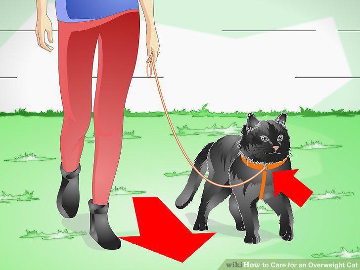 Step 14