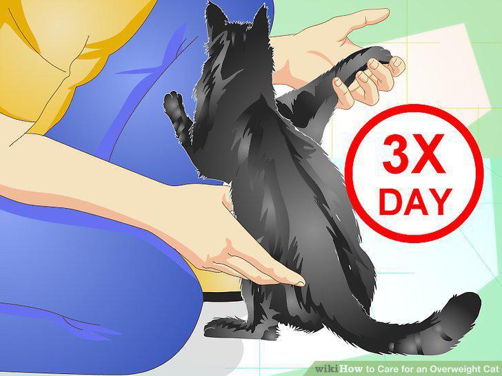 Step 9
