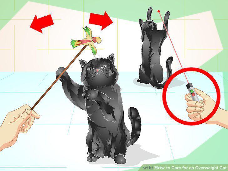 Step 10