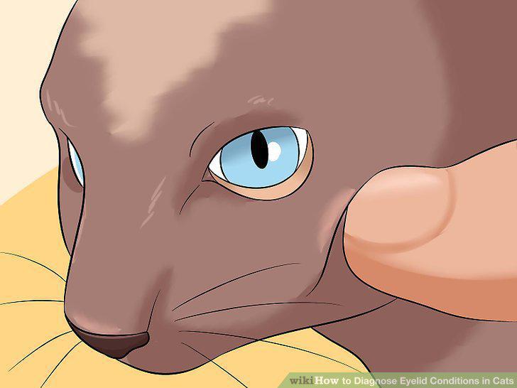 Step 12