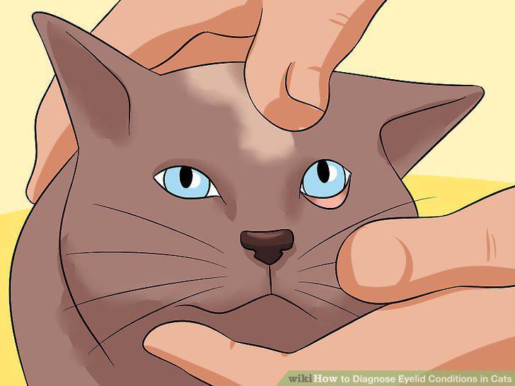 Step 13