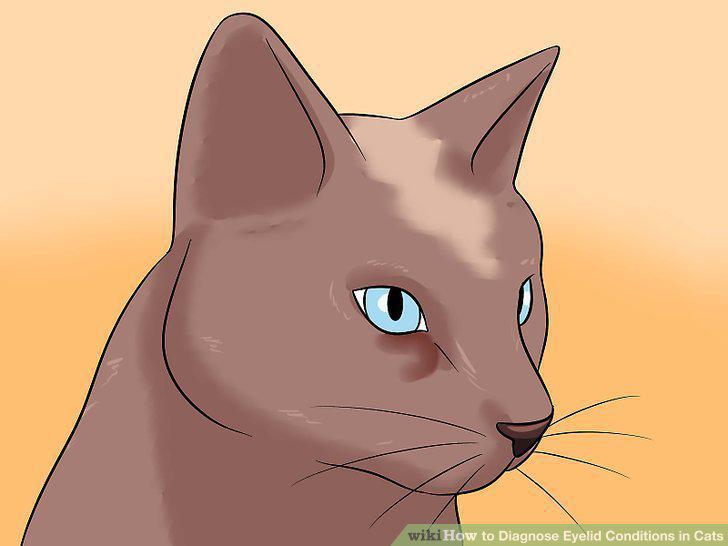 Step 14