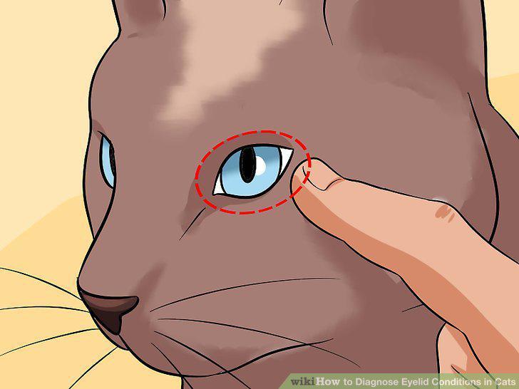 Step 16
