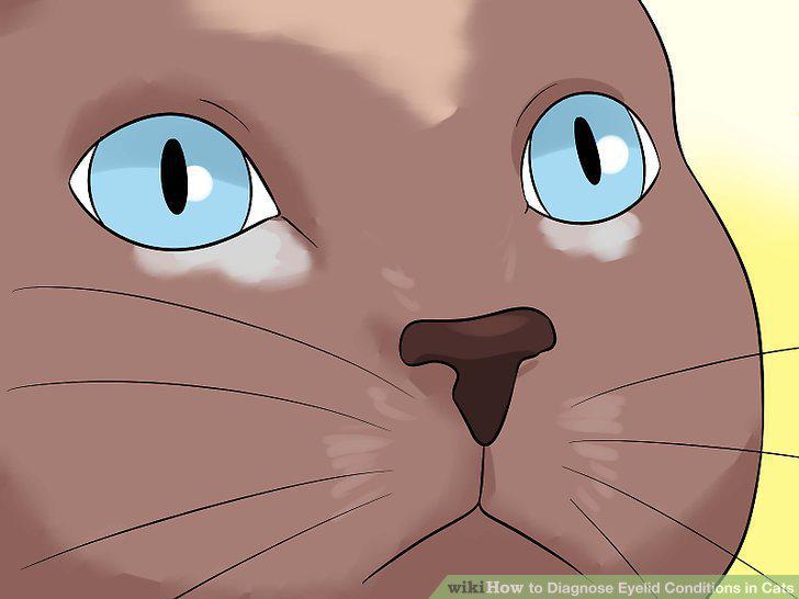 Step 18