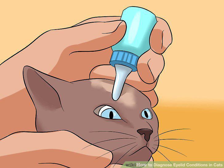 Step 19