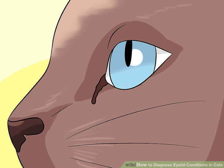 Step 6