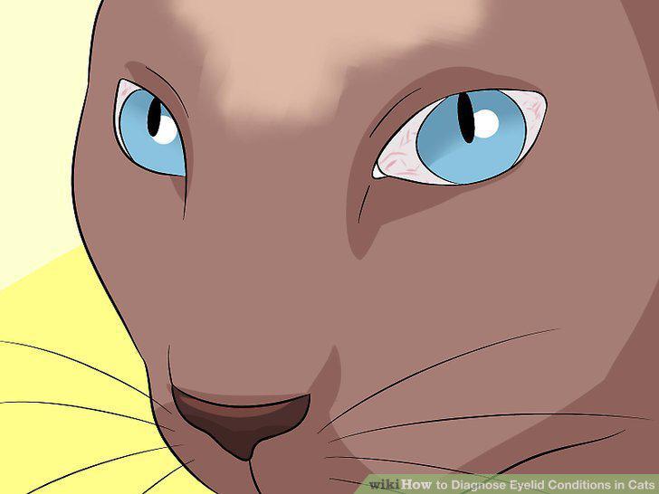 Step 8