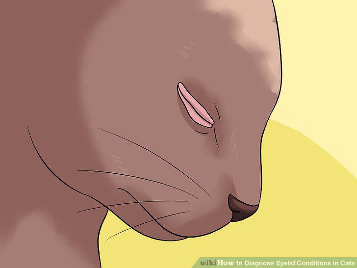 Step 9
